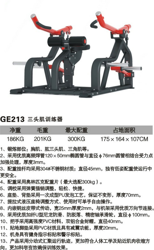 GE213